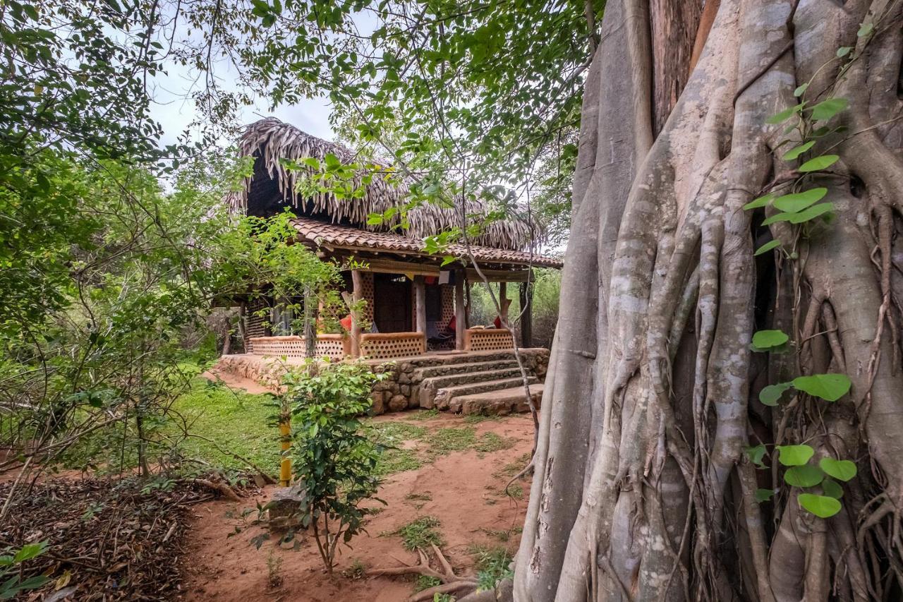 Banyan Camp Villa Hambegamuwa Buitenkant foto