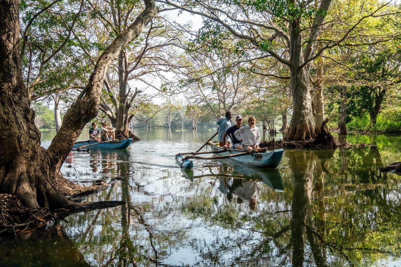 Banyan Camp Villa Hambegamuwa Buitenkant foto